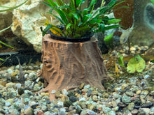 Load image into Gallery viewer, Unique 3D Printed Plant Stump for Aquariums