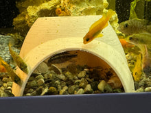 Cargar imagen en el visor de la galería, Unique 3D Printed Fish Cave for Aquariums