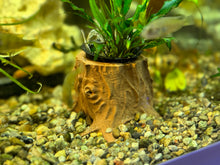 Load image into Gallery viewer, Unique 3D Printed Plant Stump for Aquariums