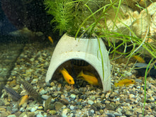 Cargar imagen en el visor de la galería, Unique 3D Printed Fish Cave for Aquariums