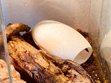 Load image into Gallery viewer, Reptile / Spider Cave Space Cocoon - Marble Hide for Geckos, Lizard &amp; Siders