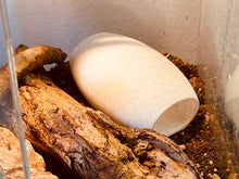 Load image into Gallery viewer, Reptile / Spider Cave Cocoon - Marble Hide for Geckos, Lizard &amp; Spiders