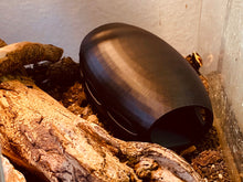 Load image into Gallery viewer, Reptile / Spider Cave Space Cocoon - Black Hide for Geckos, Lizard &amp; Siders