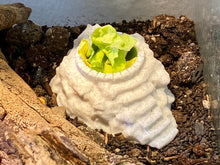 Laden Sie das Bild in den Galerie-Viewer, Terrarium Feeder &quot;The Stairs&quot; - Marble colored Feeder for Geckos, Lizard &amp; Siders