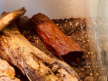 Load image into Gallery viewer, Reptile / Spider Log  Hide - Brown Cave for Geckos, Lizard &amp; Siders