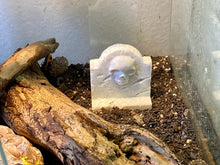 Laden Sie das Bild in den Galerie-Viewer, Terrarium Decoration &quot;Skull Tombstone&quot; - Marble colored Terrarium Decor