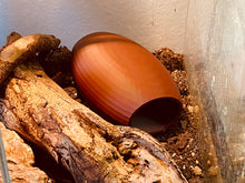 Load image into Gallery viewer, Reptile / Spider Cave Cocoon - Brown Hide for Geckos, Lizard &amp; Siders