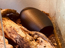 Load image into Gallery viewer, Reptile / Spider Cave Cocoon - Black Hide for Geckos, Lizard &amp; Siders