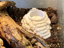 Load image into Gallery viewer, Terrarium Feeder &quot;The Stairs&quot; - Marble colored Feeder for Geckos, Lizard &amp; Siders