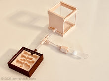 Laden Sie das Bild in den Galerie-Viewer, Microverse Ant Habitat Kit - Square All-In-One