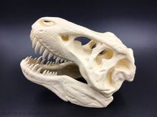 Load image into Gallery viewer, T-Rex Tyrannosaurus Rex Dinosaur Skull Decoration