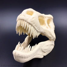 Laden Sie das Bild in den Galerie-Viewer, T-Rex Tyrannosaurus Rex Dinosaur Skull Decoration