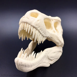 T-Rex Tyrannosaurus Rex Dinosaur Skull Decoration