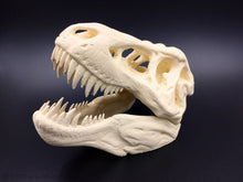 Load image into Gallery viewer, T-Rex Tyrannosaurus Rex Dinosaur Skull Decoration