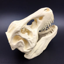 Charger l&#39;image dans la galerie, T-Rex Tyrannosaurus Rex Dinosaur Skull Decoration